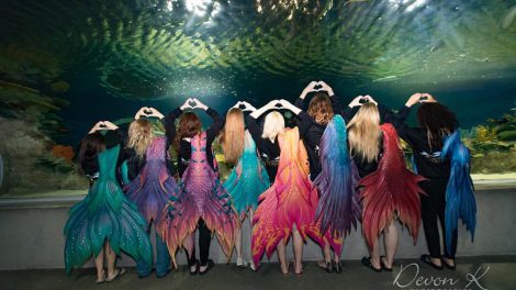 wand and wishes mermaids